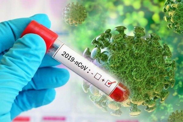 شمار قربانیان کرونا در جهان از 400 هزار تن گذشت شمار قربانیان کرونا در دنیا از 400 هزار تن گذشت