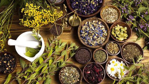 گیاهان دارویی آینده کشاورزی خراسان رضوی است گیاهان دارویی آینده کشاورزی خراسان رضوی است
