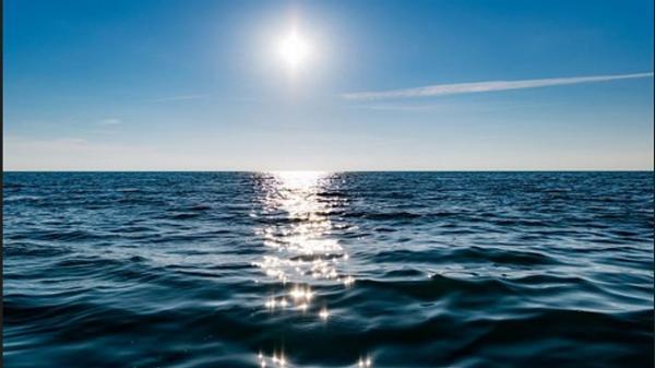 هشدار محققان نسبت به احتمال حضور موجودات عجیب در سواحل دریا
