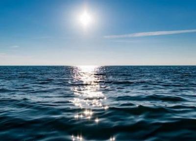 هشدار محققان نسبت به احتمال حضور موجودات عجیب در سواحل دریا