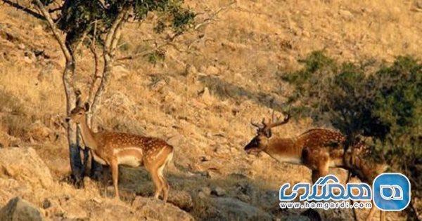 پارک ملی و منطقه حفاظت شده کرخه یکی از دیدنی های استان خوزستان به شمار می رود